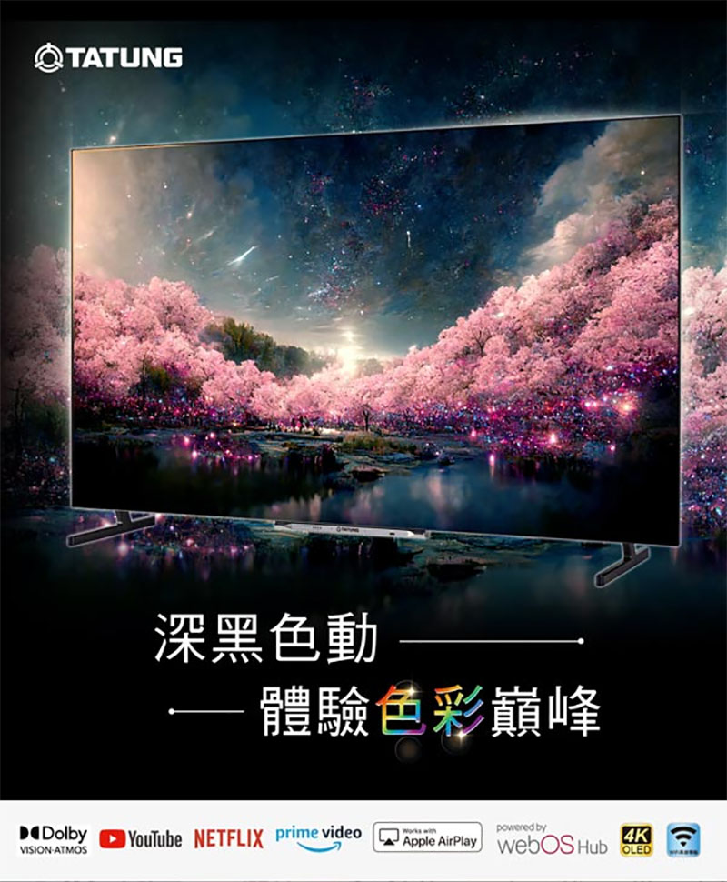 TATUNG大同 OH-55WT900 - 詳情1