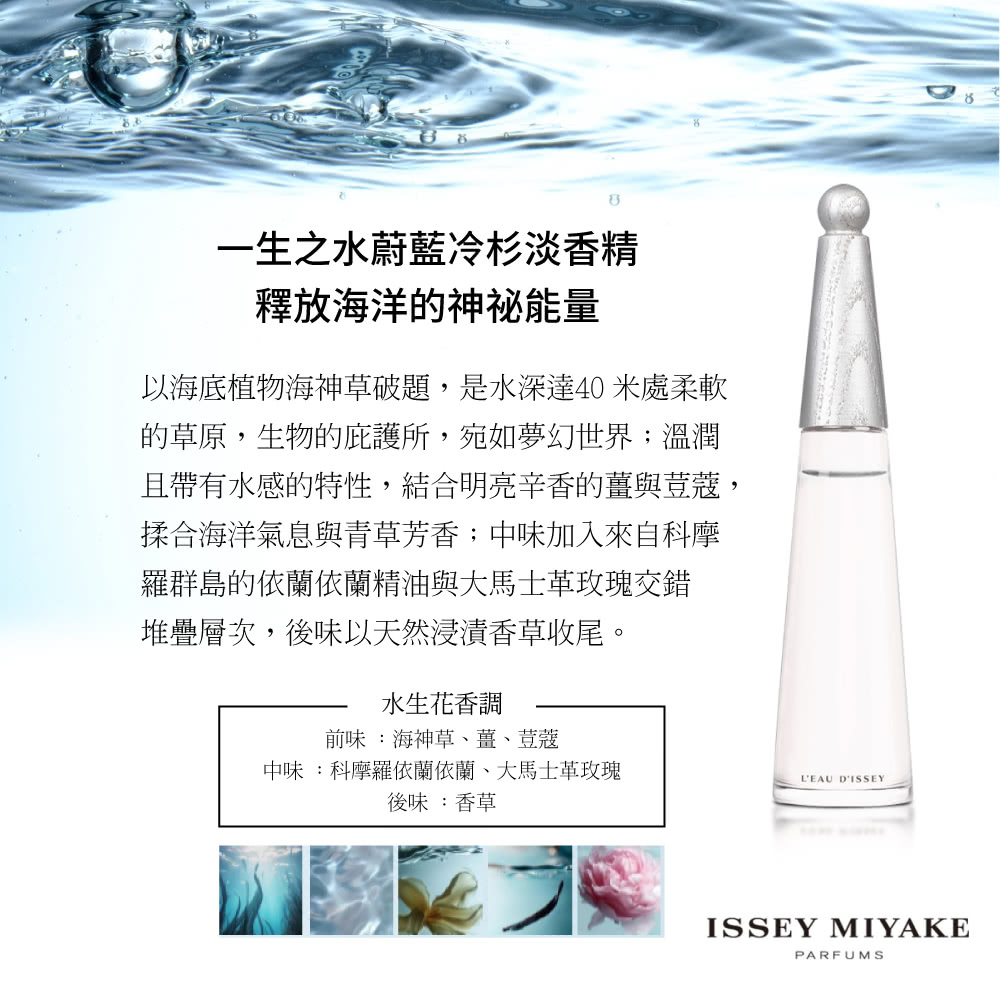 以海底植物海神草破題,是水深達40米處柔軟