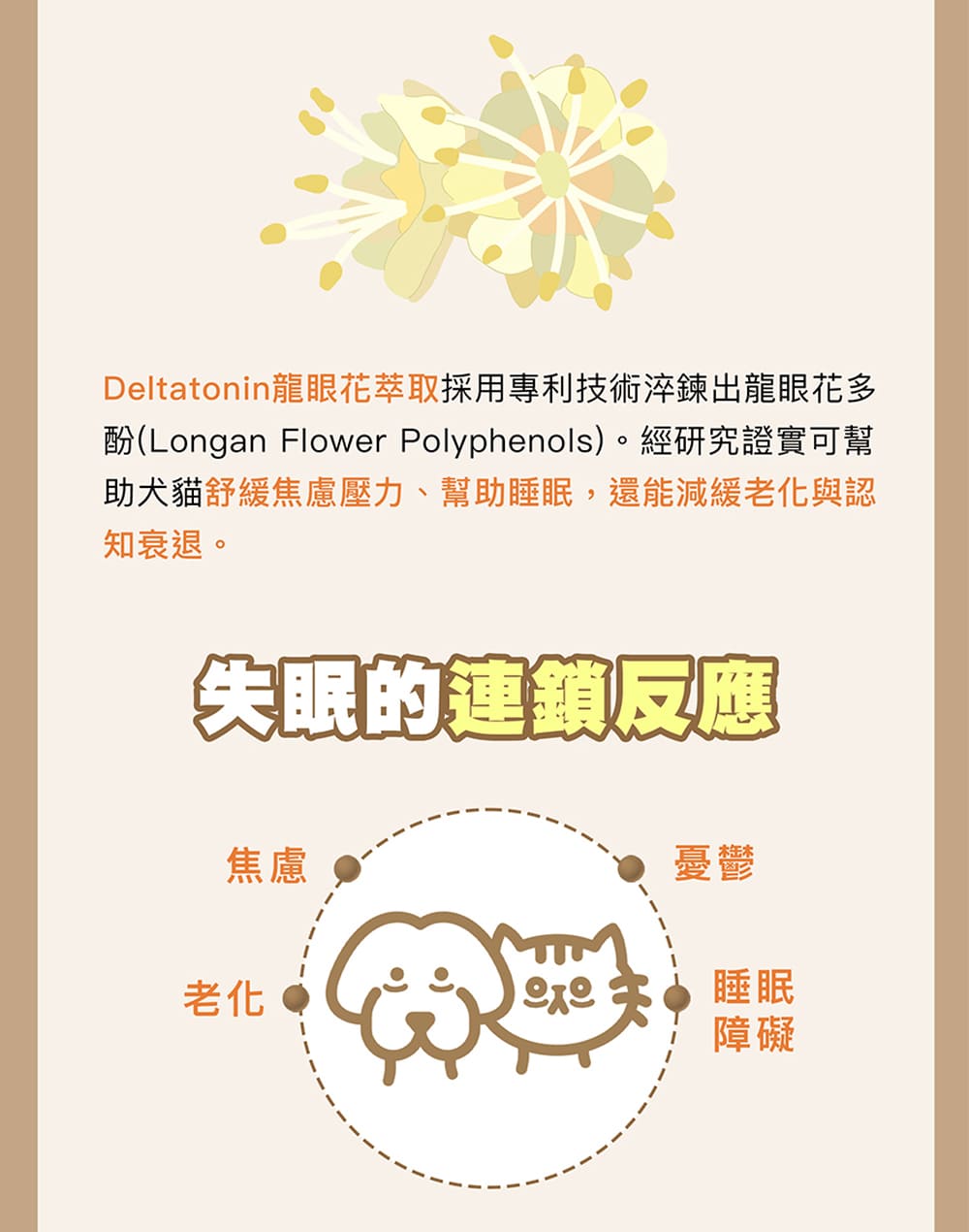 酚Longan Flower Polyphenols。經研究證實可幫