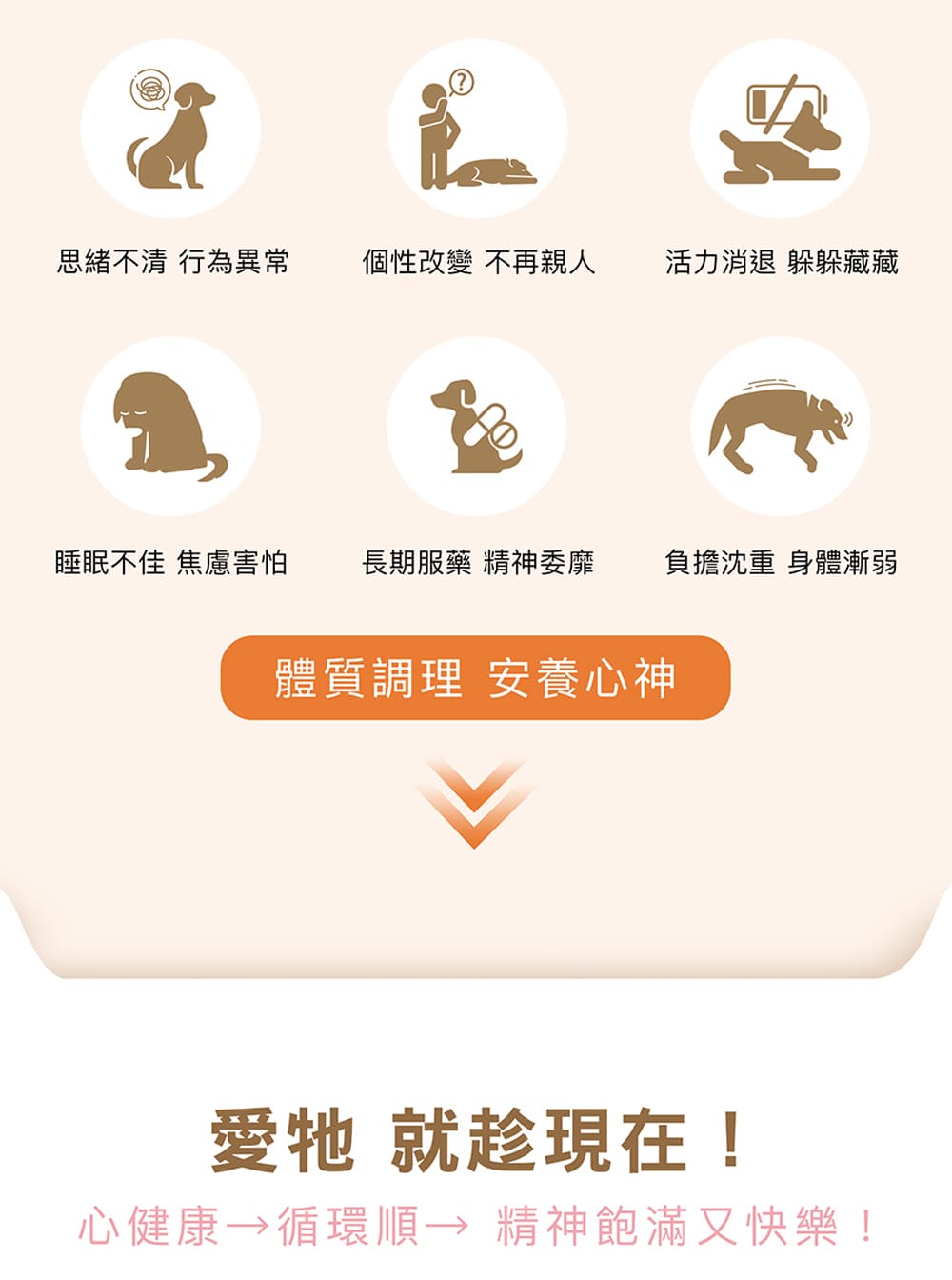 心健康循環順 精神飽滿又快樂