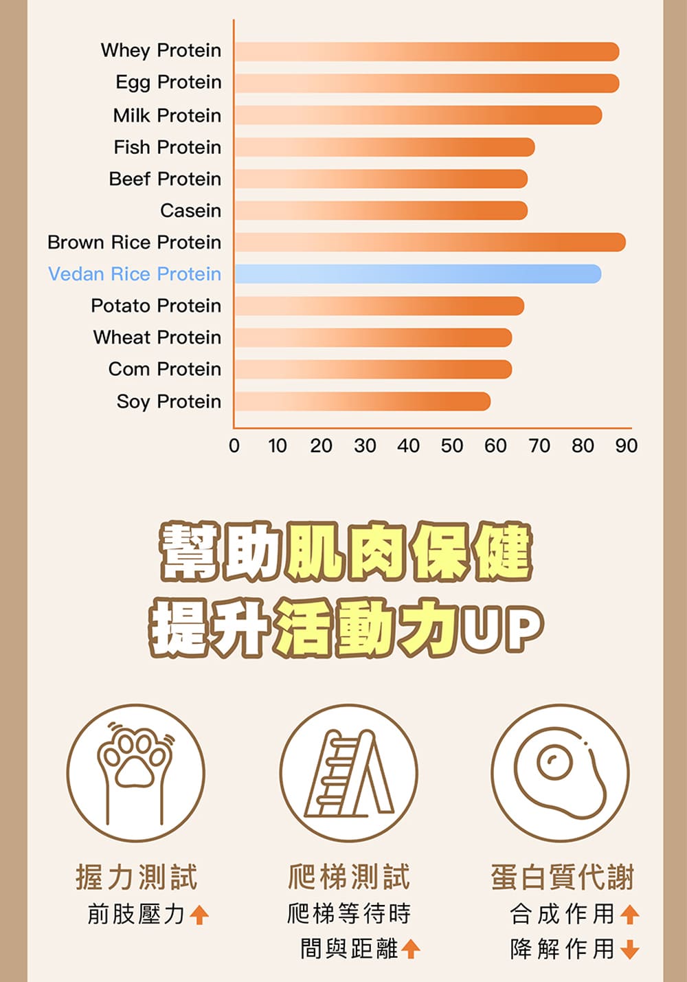 提升活動力UP