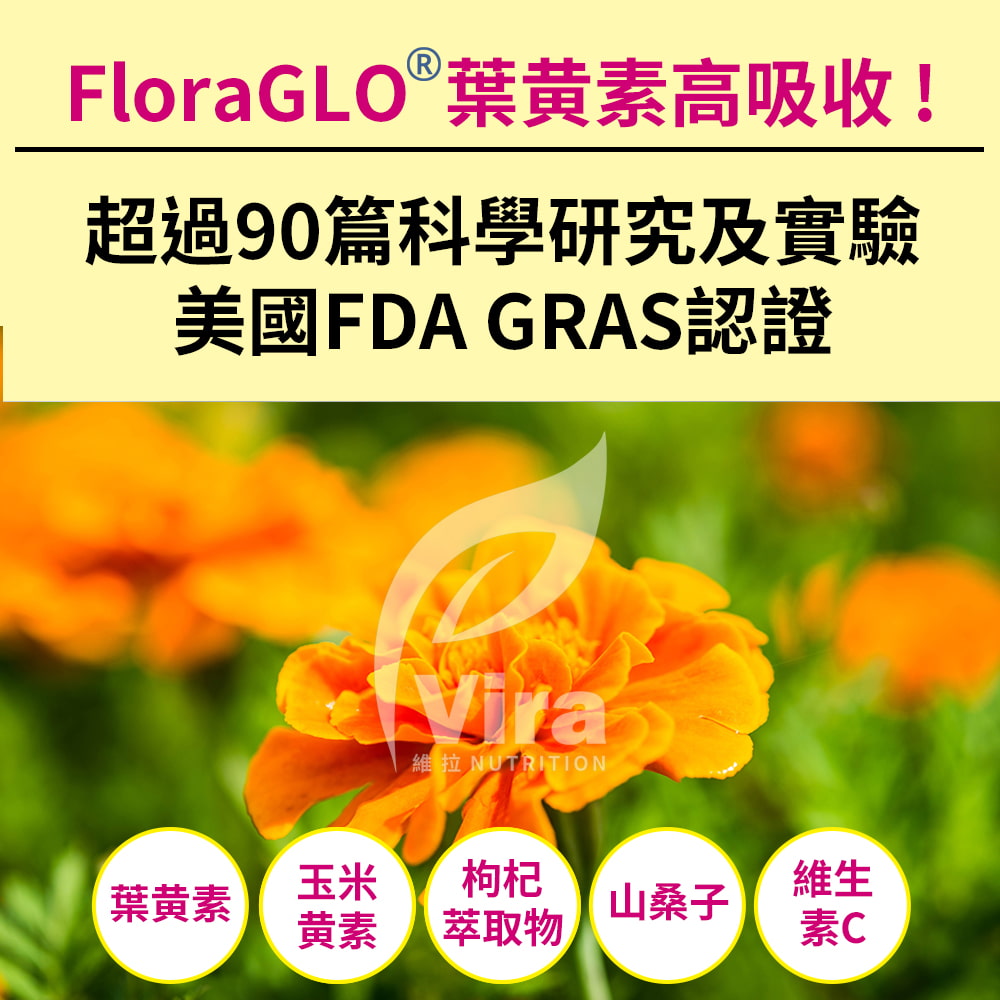 FloraGLO 葉黃素高吸收!超過90篇科學研究及實驗美國FDA GRAS認證維拉 NUTRITION-玉米枸杞維生葉黃素山桑子黄素 萃取物素C