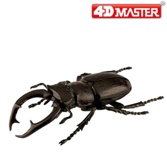 【4D MASTER】黑武士鍬形蟲BLACK STAG BEETLE