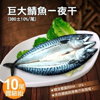 【優鮮配】挪威當季鯖魚一夜干10尾體驗組(約380g/整尾)