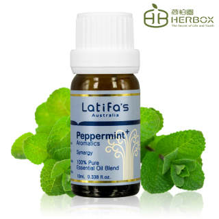 【Herbox 荷柏園】精神百倍 複方精油 10ml(Peppermint+)物超所值