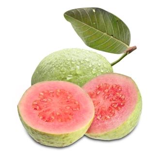 【果之家】燕巢脆甜爽口紅心芭樂5台斤(2箱/約12-16顆)