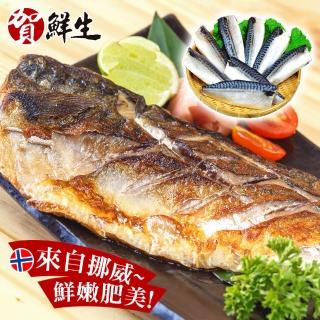 【賀鮮生】超厚片挪威薄鹽鯖魚10片(190g/片)