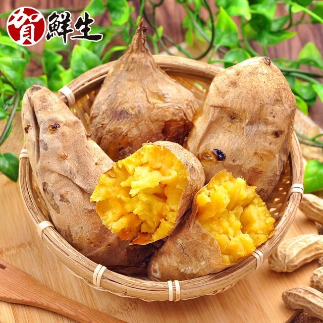 【賀鮮生】台農57+冰心熟地瓜10包(600g/包)站長推薦