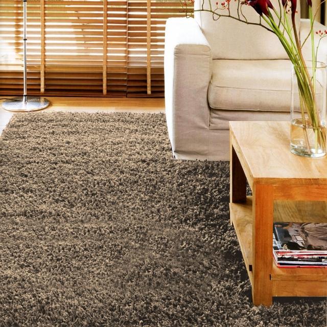 【范登伯格】新艾菲爾☆超細紗長毛地毯-共兩色(160x230cm)評比