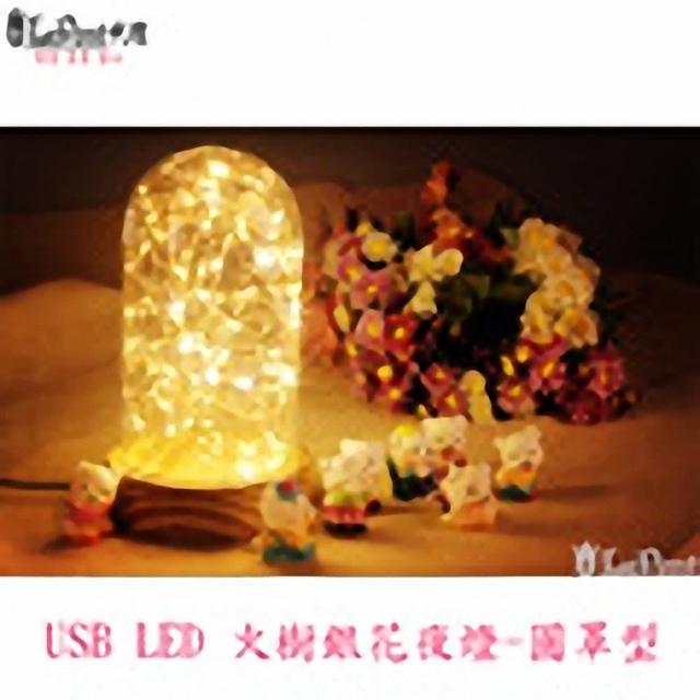 【LEPONT】LED USB 火樹銀花夜燈-圓罩型熱門推薦