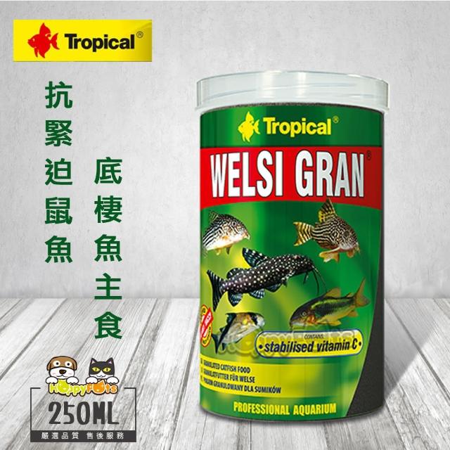 【Tropical】德比克抗緊迫鼠魚、底棲魚主食(250ml)