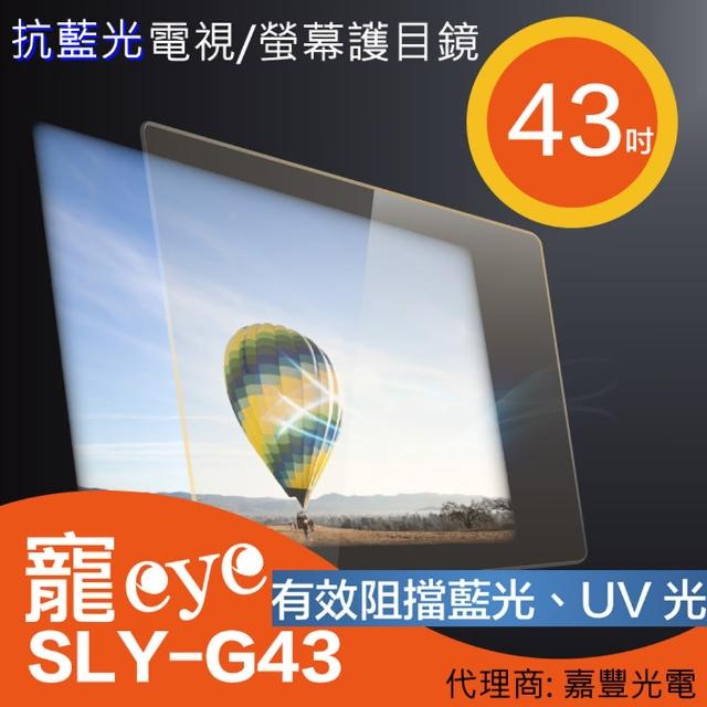 【寵eye】43吋 抗藍光螢幕護目鏡(SLY-G43)