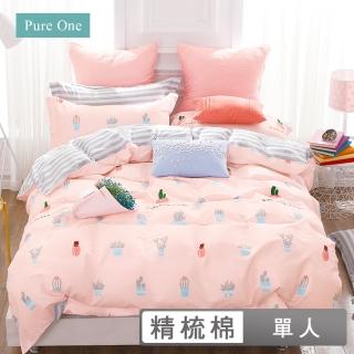 【Pure One】台灣製 100%精梳純棉 - 單人床包枕套兩件組 - 綜合賣場