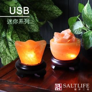 【鹽夢工場】創意造型鹽燈(USB系列)