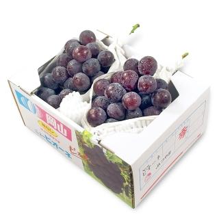 【鮮果日誌】日本岡山縣 貓眼葡萄(二房)