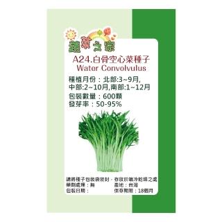【蔬菜工坊】A24.白骨空心菜種子(白骨種蕹菜)