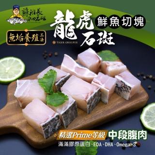 【蘇班長安心石斑】龍虎斑鮮魚切塊300g 任選1500免運 歐盟食安標準 得獎最多的石斑(永安石斑 龍虎斑 龍膽)