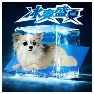 【寵物愛家】寵物涼爽冰墊春夏專用-M(寵物冰涼墊)