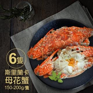 【築地一番鮮】斯里蘭卡生凍母花蟹6隻(150-200g/隻)
