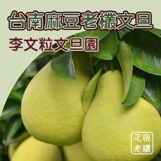 【黑貓嚴選-中秋禮盒】台南李文粒果園頂級文旦5斤/約3kg裝(7-9顆)