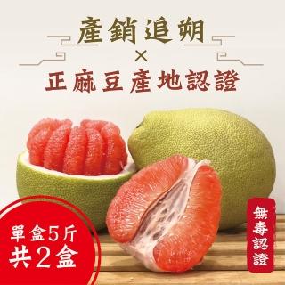【老張果物】麻豆養生紅文旦 5斤禮盒 共2盒裝(5斤±10%/盒)