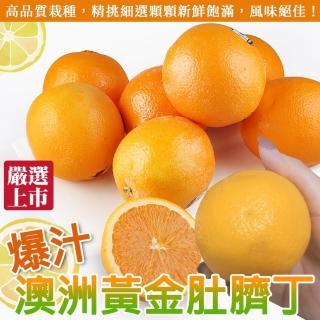【WANG 蔬果】澳洲進口黃金肚臍丁(原箱113-138A/約16kg)