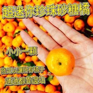 【台灣紅】超迷你珍珠砂糖橘-預購(3斤裝/箱)