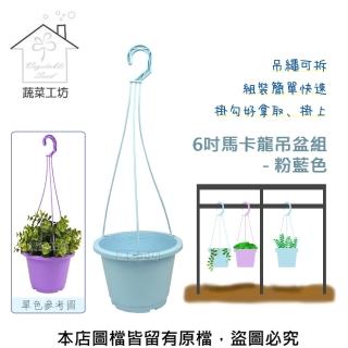 【蔬菜工坊】6吋馬卡龍吊盆組 - 粉藍色