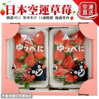 【WANG 蔬果】日本嚴選熊本草莓2盒/組(每盒約250g±10%)