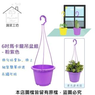 【蔬菜工坊】6吋馬卡龍吊盆組 - 粉紫色