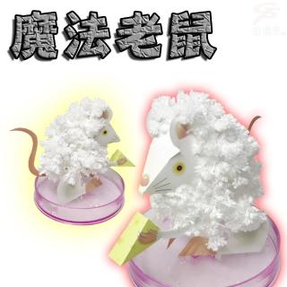 【金德恩】Magical魔法成長錢鼠/台灣製造(DIY/勞作/交換禮物/耶誕節)