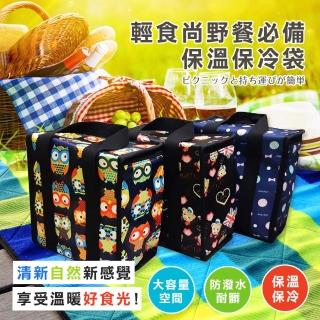 【DF Queenin】輕食尚野餐必備保溫保冷袋-隨機出貨