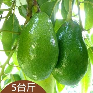【台灣好農】楊家庄安心酪梨_5台斤(酪梨)