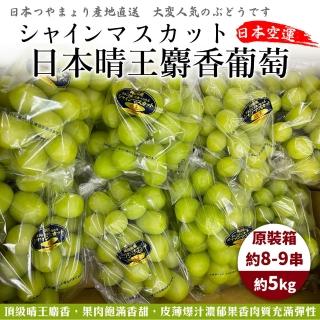 【WANG 蔬果-中秋禮盒】日本晴王麝香葡萄(原箱8-9串入/約5Kg)