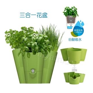 【德國EMSA】三合一園藝自動吸水器 吸水花盆 美化花盆植栽盆栽 浮標缺水提示-綠(德國設計美學)