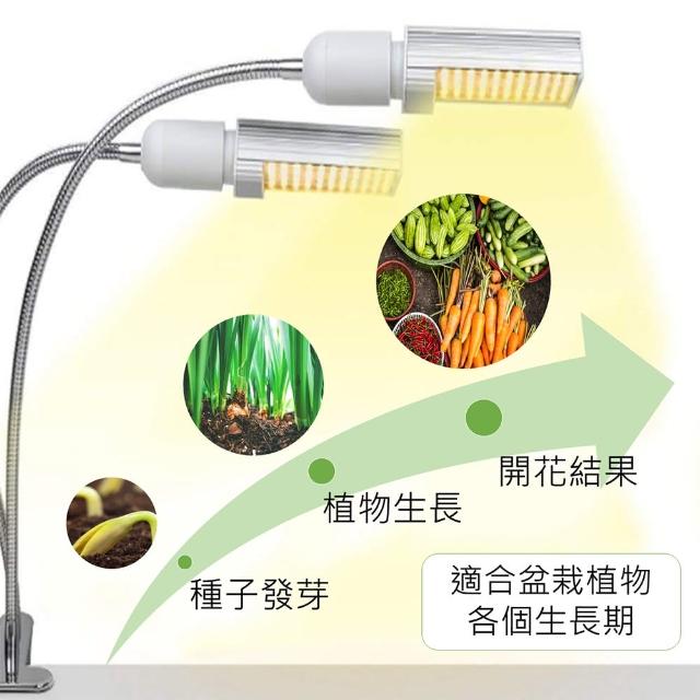 君沛 植物燈led植物燈usb Led 植物補光雙頭燈泡led 植物燈定時開關夾子 植物生長燈 Momo購物網