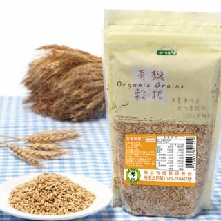 【統一生機】有機燕麥仁(500g/包)