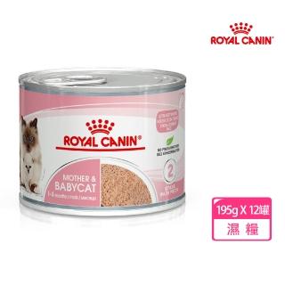 【ROYAL 法國皇家】離乳貓與乳貓專用濕糧(幼貓、貓罐) BC34W 195Gx12罐/箱