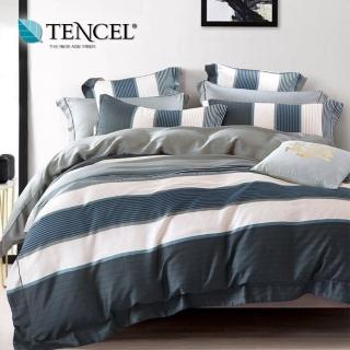 【貝兒居家寢飾生活館】100%天絲四件式兩用被床包組 仙德瑞拉(特大)