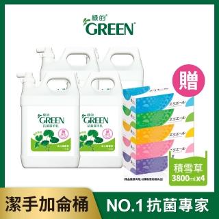 【Green 綠的】獨家組-抗菌潔手乳加侖桶-活力積雪草3800mlX4_箱購(網路限定商品)