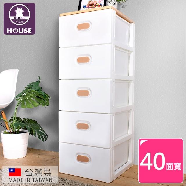 【HOUSE】木天板-TODAY無印風衣物抽屜式收納櫃五層(台灣製造-白色)