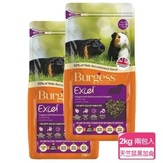 【Burgess英國伯爵】天竺鼠飼料-黑加侖&奧勒岡葉  2KG-兩包入