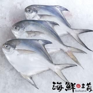 【海鮮主義】年節必備白鯧魚(3入/組-每尾500g)