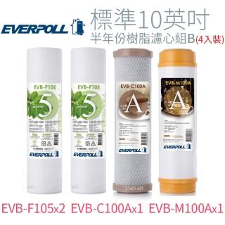 【EVERPOLL】標準10英吋 半年份樹脂濾心組B(4入)