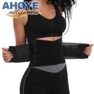 【AHOYE】保健運動 吸濕排汗護腰帶 男女全尺寸(護腰)