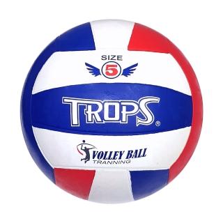 【SUCCESS 成功】40352 彩色排球