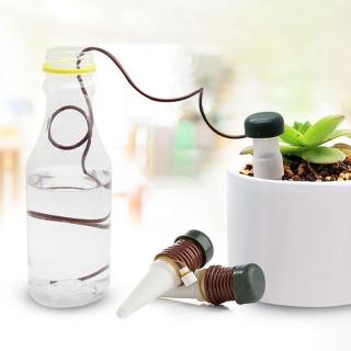 自動澆水器 Momo購物網