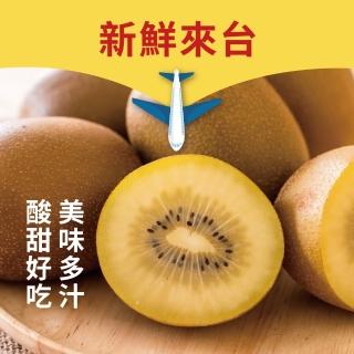 【水果達人】紐西蘭黃金奇異果11-13顆禮盒*4箱(黃金奇異果)