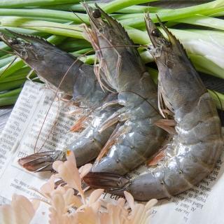 【低溫快配-鮮綠生活】無毒特大生凍白蝦后(600g±10%/盒 約16-18尾/盒 共2盒 -凍)