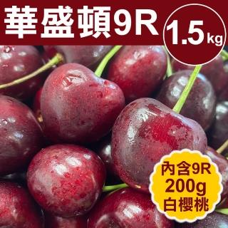 【甜露露X買一送一】華盛頓櫻桃9R 1.6斤(加贈9.5R 1.6斤)